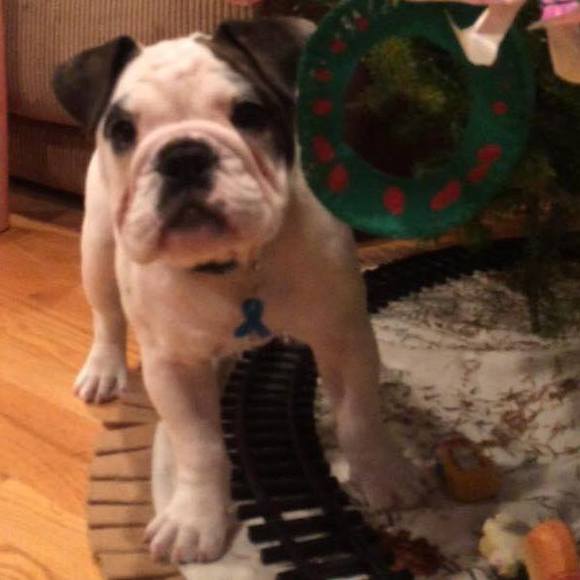 Meet your Posher, Jessica - Picture 1 of 1